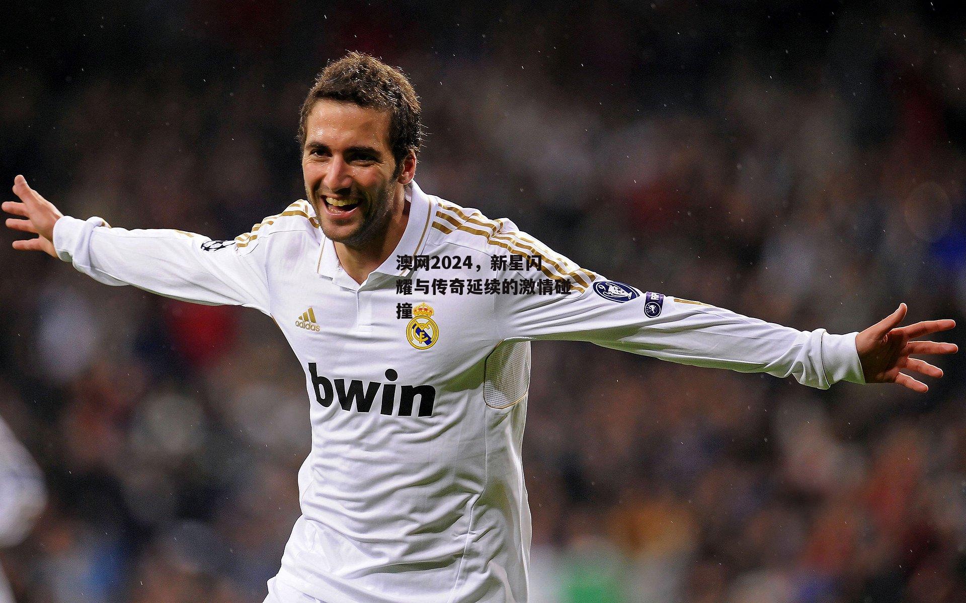 澳网2024，新星闪耀与传奇延续的激情碰撞