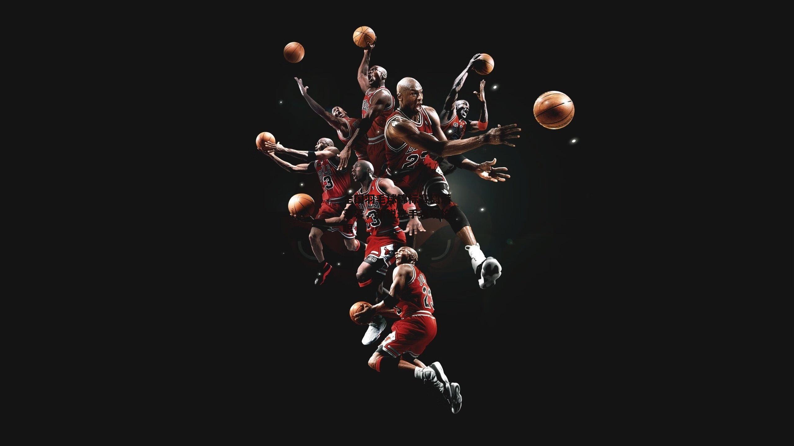 半岛体育APP-全国羽毛球锦标赛圆满落幕,新锐选手表现抢眼