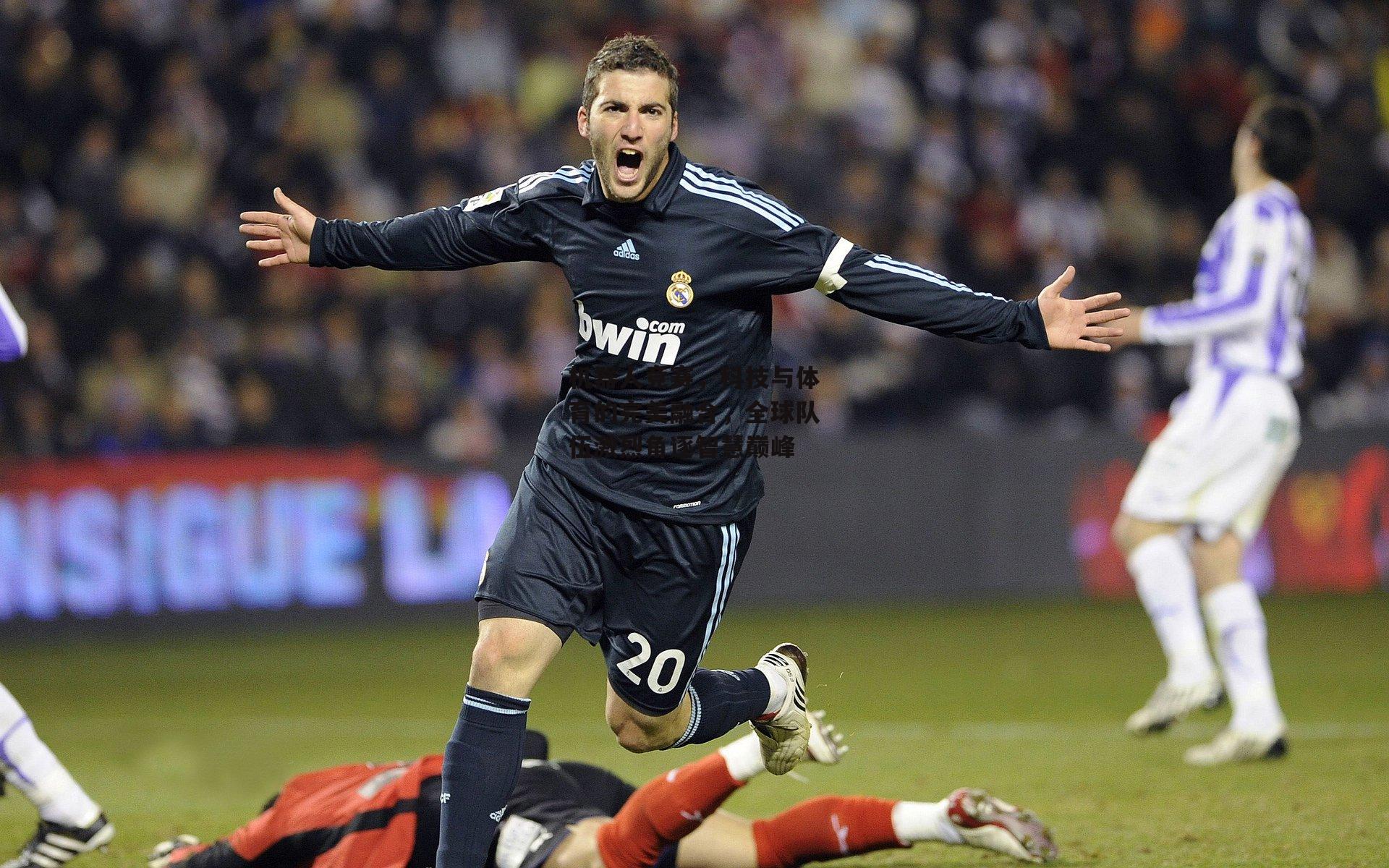 机器人竞赛,科技与体育的完美融合,全球队伍激烈角逐智慧巅峰【